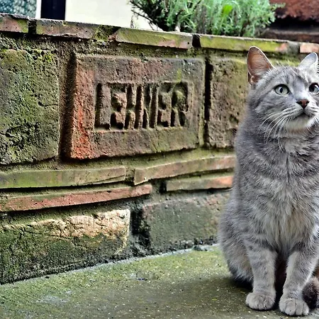 Apartments Vila Vrdnik 아파트 *