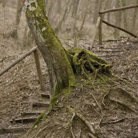 维拉微迪客公寓式酒店 公寓 维尔蒂尼克