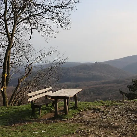 维拉微迪客公寓式酒店 *