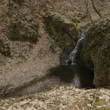 Apartments Vila Vrdnik