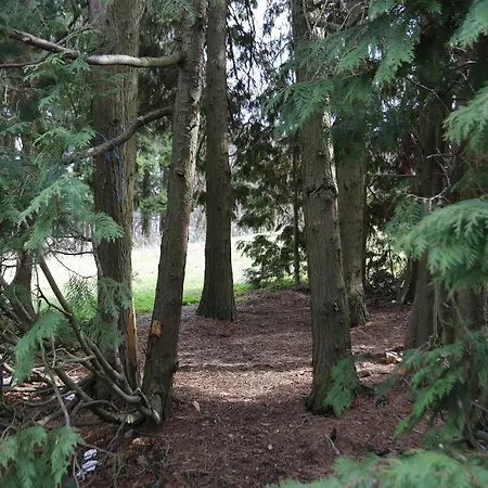 公寓 维拉微迪客公寓式酒店