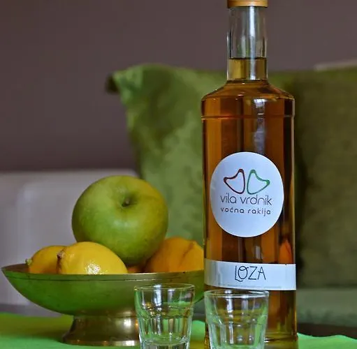 Lejlighed Apartments Vila Vrdnik *