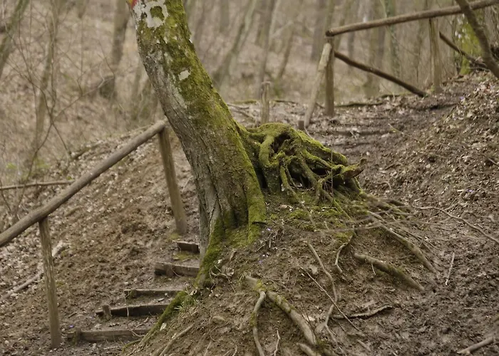 Apartments Vila Vrdnik Lejlighed Vrdnik