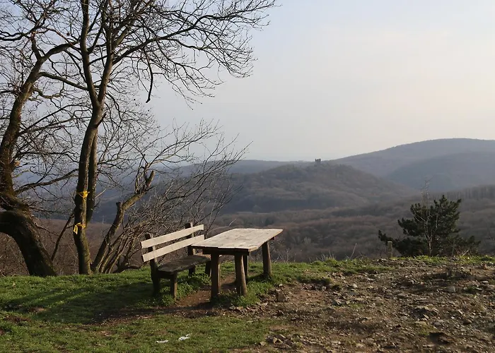 Apartments Vila Vrdnik *