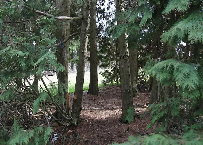 Lejlighed Apartments Vila Vrdnik